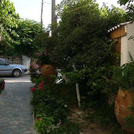 Oasis Studios Palaiochora Exterior photo